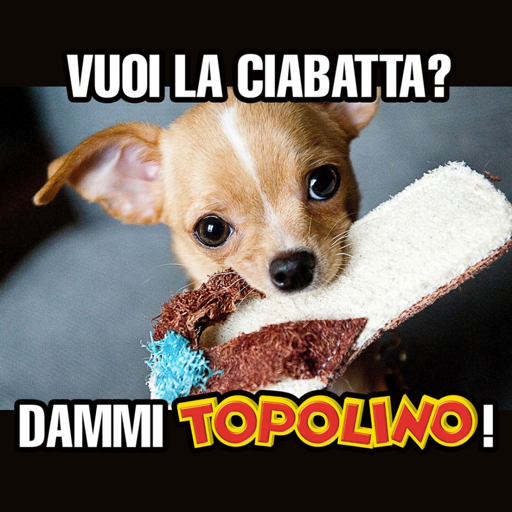 TOPOLINO MEME